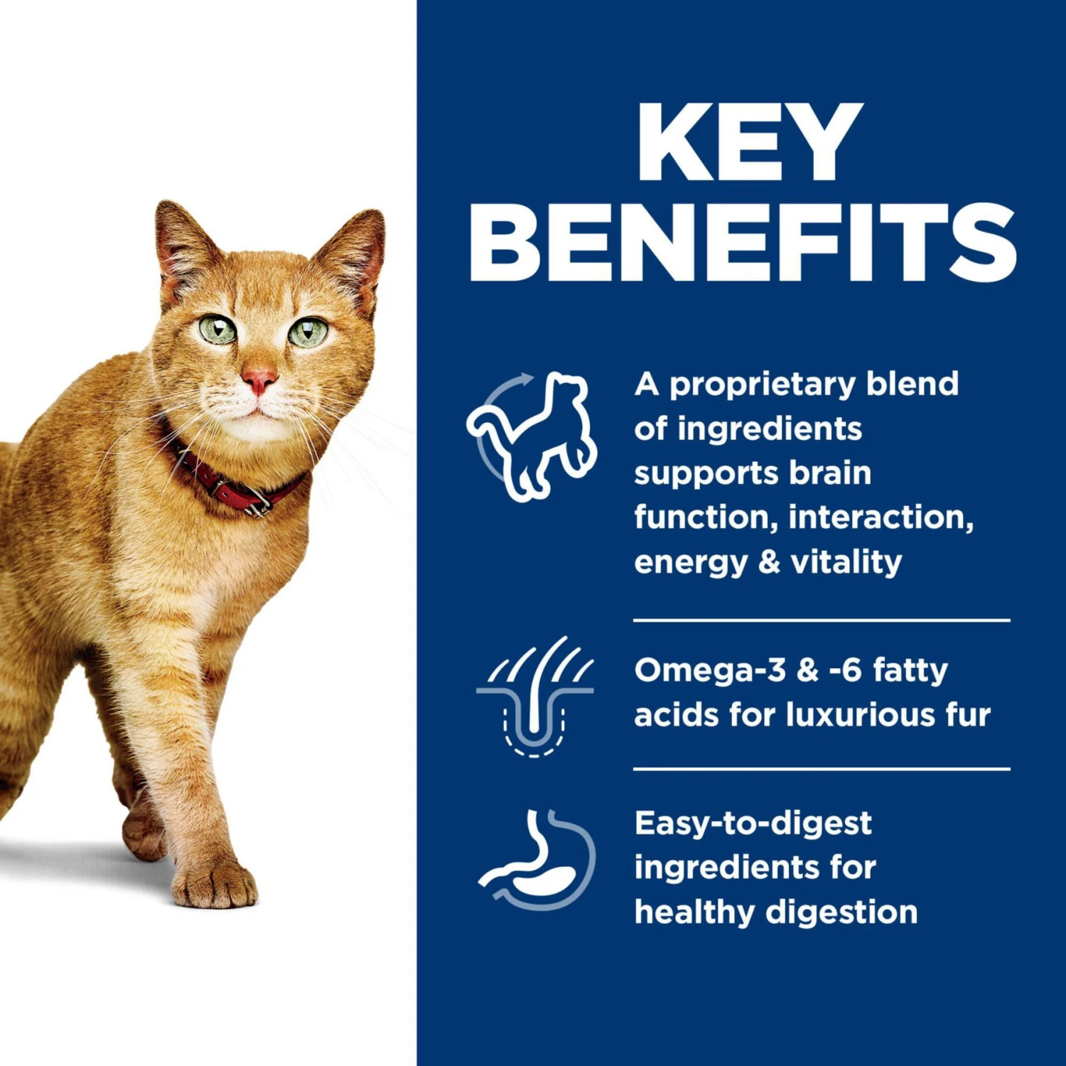 Hill's Science Diet Adult 7+ Senior Vitality Chicken Recipe Dry Cat Food 5 Hill's Science Diet Adult 7+ Senior Vitality Chicken Recipe Dry Cat Food - Image 3