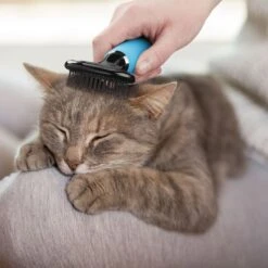 ConairPROPET Soft Slicker Cat Brush -Furry Friends 109658 PT5. AC SS1800 V1691437515