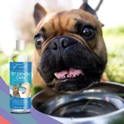 Emmy's Best Pet Products Advanced Pet Dental Care Dog & Cat Dental Water Additive -Furry Friends 110160 PT4. AC SS1800 V1612399335