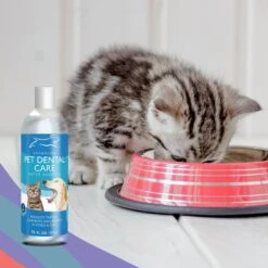 Emmy's Best Pet Products Advanced Pet Dental Care Dog & Cat Dental Water Additive -Furry Friends 110160 PT5. AC SS1800 V1612399878