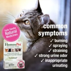 HomeoPet UTI+ Homeopathic Medicine For Urinary Tract Infections UTI For Cats 8 HomeoPet UTI+ Homeopathic Medicine For Urinary Tract Infections UTI For Cats -Furry Friends 110740 PT2. AC SS1800 V1611088694