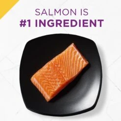 Purina Pro Plan Prime Plus Adult 7+ Salmon & Tuna Entree Classic Canned Cat Food, 3-oz Can, Case Of 24 -Furry Friends 111107 PT2. AC SS1800 V1585863093
