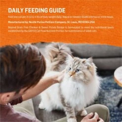 Purina Beyond Grain-Free Natural Pate Chicken & Sweet Potato Recipe Wet Cat Food -Furry Friends 112040 PT7. AC SS1800 V1700161506