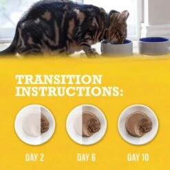 Purina Beyond Grain-Free Natural Pate Chicken & Sweet Potato Recipe Wet Cat Food -Furry Friends 112040 PT8. AC SS1800 V1700157506