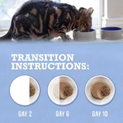 Purina Beyond Grain-Free Trout & Catfish Pate Recipe Canned Cat Food -Furry Friends 112042 PT8. AC SS1800 V1700158542