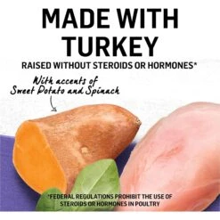 Purina Beyond Cage-Free Turkey, Sweet Potato & Spinach Recipe In Gravy Canned Cat Food 14 Purina Beyond Cage-Free Turkey, Sweet Potato & Spinach Recipe In Gravy Canned Cat Food -Furry Friends 112047 PT3. AC SS1800 V1699367808