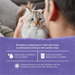 Purina Beyond Cage-Free Turkey, Sweet Potato & Spinach Recipe In Gravy Canned Cat Food 16 Purina Beyond Cage-Free Turkey, Sweet Potato & Spinach Recipe In Gravy Canned Cat Food -Furry Friends 112047 PT5. AC SS1800 V1700156672