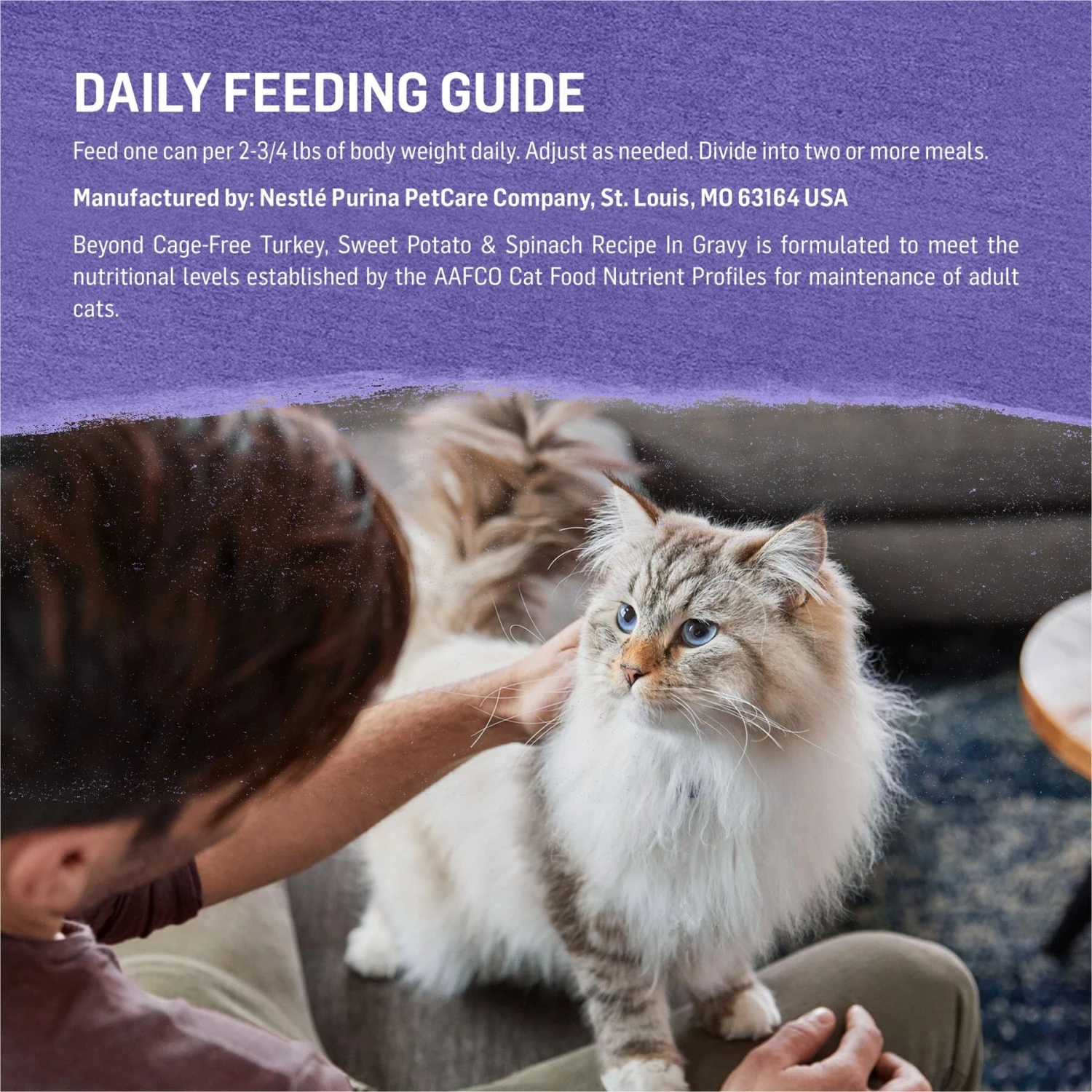 Purina Beyond Cage-Free Turkey, Sweet Potato & Spinach Recipe In Gravy Canned Cat Food 10 Purina Beyond Cage-Free Turkey, Sweet Potato & Spinach Recipe In Gravy Canned Cat Food - Image 8