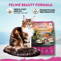 Addiction Grain-Free Duck Royale Dry Cat Food -Furry Friends 112845 PT2. AC SS1800 V1699027923