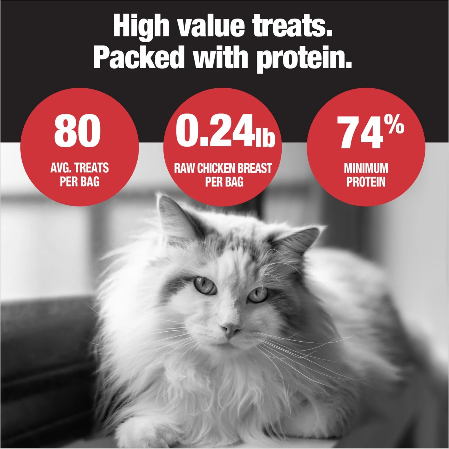 PureSnacks Chicken Breast Freeze-Dried Cat Treats 7 PureSnacks Chicken Breast Freeze-Dried Cat Treats - Image 5