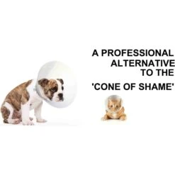 Suitical Recovery Suit For Cats -Furry Friends 113599 PT2. AC SS1800 V1488999162