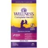 Wellness Complete Health Natural Grain-Free Salmon & Herring Dry Cat Food -Furry Friends 114503 MAIN. AC SS1800 V1636499198