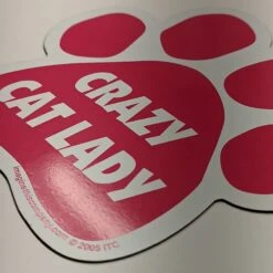 Imagine This Company "Crazy Cat Lady" Magnet -Furry Friends 115055 PT3. AC SS1800 V1639610837