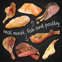 Hound & Gatos 98% Lamb, Chicken & Salmon Grain-Free Canned Cat Food -Furry Friends 115102 PT5. AC SS1800 V1594851091