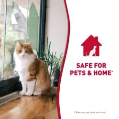 Nature's Miracle Cat Enzymatic Stain Remover & Odor Eliminator Spray, 32-oz Bottle 18 Nature's Miracle Cat Enzymatic Stain Remover & Odor Eliminator Spray, 32-oz Bottle -Furry Friends 115440 PT7. AC SS1800 V1701453353