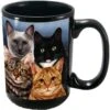 Pet Gifts USA My Faithful Friend Cat Menagerie Coffee Mug, 15-oz 2 Pet Gifts USA My Faithful Friend Cat Menagerie Coffee Mug, 15-oz -Furry Friends 116566 MAIN. AC SS1800 V1493314055