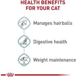 Royal Canin Feline Care Nutrition Hairball Care Thin Slices In Gravy Canned Cat Food 14 Royal Canin Feline Care Nutrition Hairball Care Thin Slices In Gravy Canned Cat Food -Furry Friends 117981 PT3. AC SS1800 V1697753766