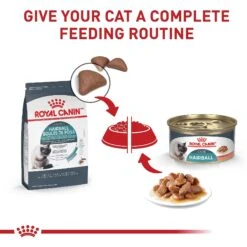 Royal Canin Feline Care Nutrition Hairball Care Thin Slices In Gravy Canned Cat Food 15 Royal Canin Feline Care Nutrition Hairball Care Thin Slices In Gravy Canned Cat Food -Furry Friends 117981 PT4. AC SS1800 V1697756700