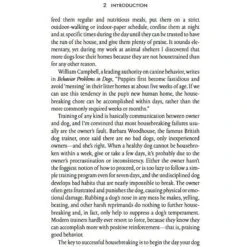 Penguin Random House How To Housebreak Your Dog In 7 Days 16 Penguin Random House How To Housebreak Your Dog In 7 Days -Furry Friends 118667 PT6. AC SS1800 V1493827322