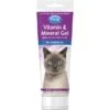 PetAg Vitamin & Mineral Gel Cat Supplement, 3.5-oz Bottle -Furry Friends 118852 MAIN. AC SS1800 V1492446792