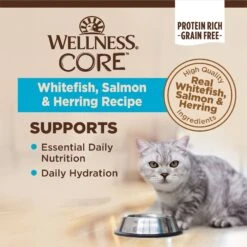 Wellness CORE Grain-Free Salmon, Whitefish & Herring Pate Canned Kitten & Cat Food -Furry Friends 118867 PT2. AC SS1800 V1695826950