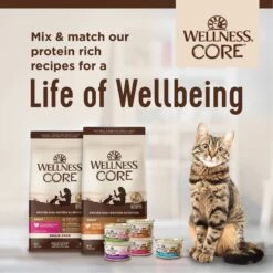 Wellness CORE Grain-Free Salmon, Whitefish & Herring Pate Canned Kitten & Cat Food -Furry Friends 118867 PT7. AC SS1800 V1695923305
