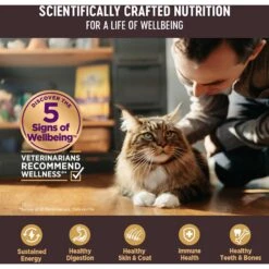 Wellness CORE Natural Grain-Free Turkey & Chicken Liver Pate Canned Kitten Food 14 Wellness CORE Natural Grain-Free Turkey & Chicken Liver Pate Canned Kitten Food -Furry Friends 118868 PT4. AC SS1800 V1695847358