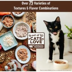 Wellness CORE Natural Grain-Free Turkey & Duck Pate Canned Cat Food -Furry Friends 118871 PT6. AC SS1800 V1695839476