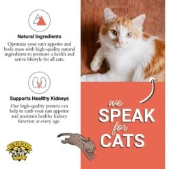 Dr. Elsey's Cleanprotein Salmon Kibble Cat Dry Food 14 Dr. Elsey's Cleanprotein Salmon Kibble Cat Dry Food -Furry Friends 119084 PT4. AC SS1800 V1701368776