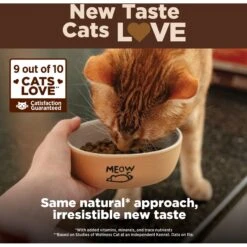 Wellness CORE Grain-Free Original Formula Natural Dry Cat Food 10 Wellness CORE Grain-Free Original Formula Natural Dry Cat Food -Furry Friends 119565 PT1. AC SS1800 V1636553197