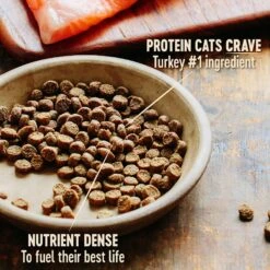 Wellness CORE Grain-Free Original Formula Natural Dry Cat Food 11 Wellness CORE Grain-Free Original Formula Natural Dry Cat Food -Furry Friends 119565 PT2. AC SS1800 V1636553546