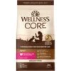 Wellness CORE Grain-Free Turkey, Turkey Meal & Duck Formula Natural Dry Cat Food -Furry Friends 119569 MAIN. AC SS1800 V1636510702