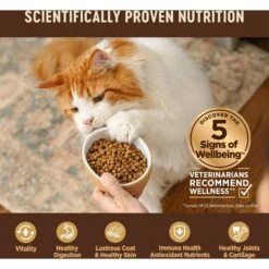 Wellness CORE Grain-Free Turkey, Turkey Meal & Duck Formula Natural Dry Cat Food -Furry Friends 119569 PT3. AC SS1800 V1636554112