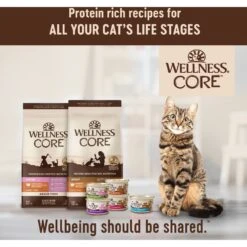 Wellness CORE Grain-Free Turkey, Turkey Meal & Duck Formula Natural Dry Cat Food -Furry Friends 119569 PT5. AC SS1800 V1636553858
