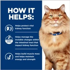 Hill's Prescription Diet K/d Kidney Care + Mobility Care With Chicken Dry Cat Food 16 Hill's Prescription Diet K/d Kidney Care + Mobility Care With Chicken Dry Cat Food -Furry Friends 122119 PT5. AC SS1800 V1691775840