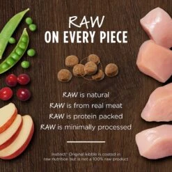 Instinct Original Kitten Grain-Free Recipe With Real Chicken Freeze-Dried Raw Coated Dry Cat Food -Furry Friends 122326 PT3. AC SS1800 V1623441178