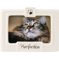 Malden International Designs "Purrfection" Cat Picture Frame