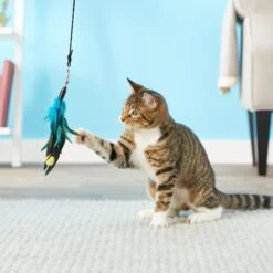 Pet Fit For Life 4 Piece Dual Rod Wand Cat Toy -Furry Friends 123822 PT2. AC SS1800 V1589320598