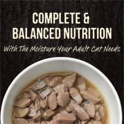 Merrick Backcountry Grain-Free Real Chicken & Trout Recipe Cuts Morsels In Gravy Cat Food Pouches -Furry Friends 123838 PT2. AC SS1800 V1638039105