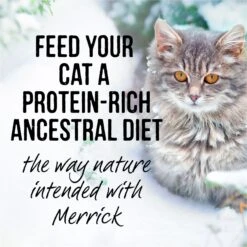 Merrick Backcountry Grain-Free Real Chicken & Trout Recipe Cuts Morsels In Gravy Cat Food Pouches -Furry Friends 123838 PT7. AC SS1800 V1638043903