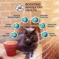 Wishbone Roost New Zealand Chicken Grain-Free Complete Cat Health Dry Cat Food -Furry Friends 123912 PT4. AC SS1800 V1703863125