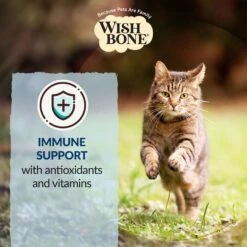 Wishbone Roost New Zealand Chicken Grain-Free Complete Cat Health Dry Cat Food -Furry Friends 123912 PT5. AC SS1800 V1703863156