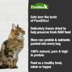 PureBites Chicken Breast & Catnip Freeze-Dried Cat Treats -Furry Friends 125296 PT4. AC SS1800 V1677594398