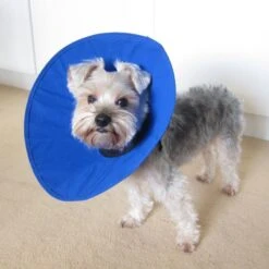 Alfie Pet Soft Recovery Dog & Cat Collar -Furry Friends 125496 PT6. AC SS1800 V1496769504