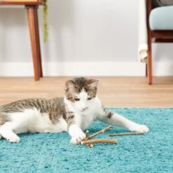 CatTwig Silver Vine Stick Cat Chew Toy -Furry Friends 125648 PT3. AC SS1800 V1554126585