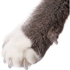 Purrdy Paws Soft Cat Nail Caps