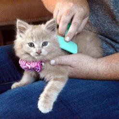 Li'l Pals Coated Tips Cat Slicker Brush -Furry Friends 128191 PT4. AC SS1800 V1673648721