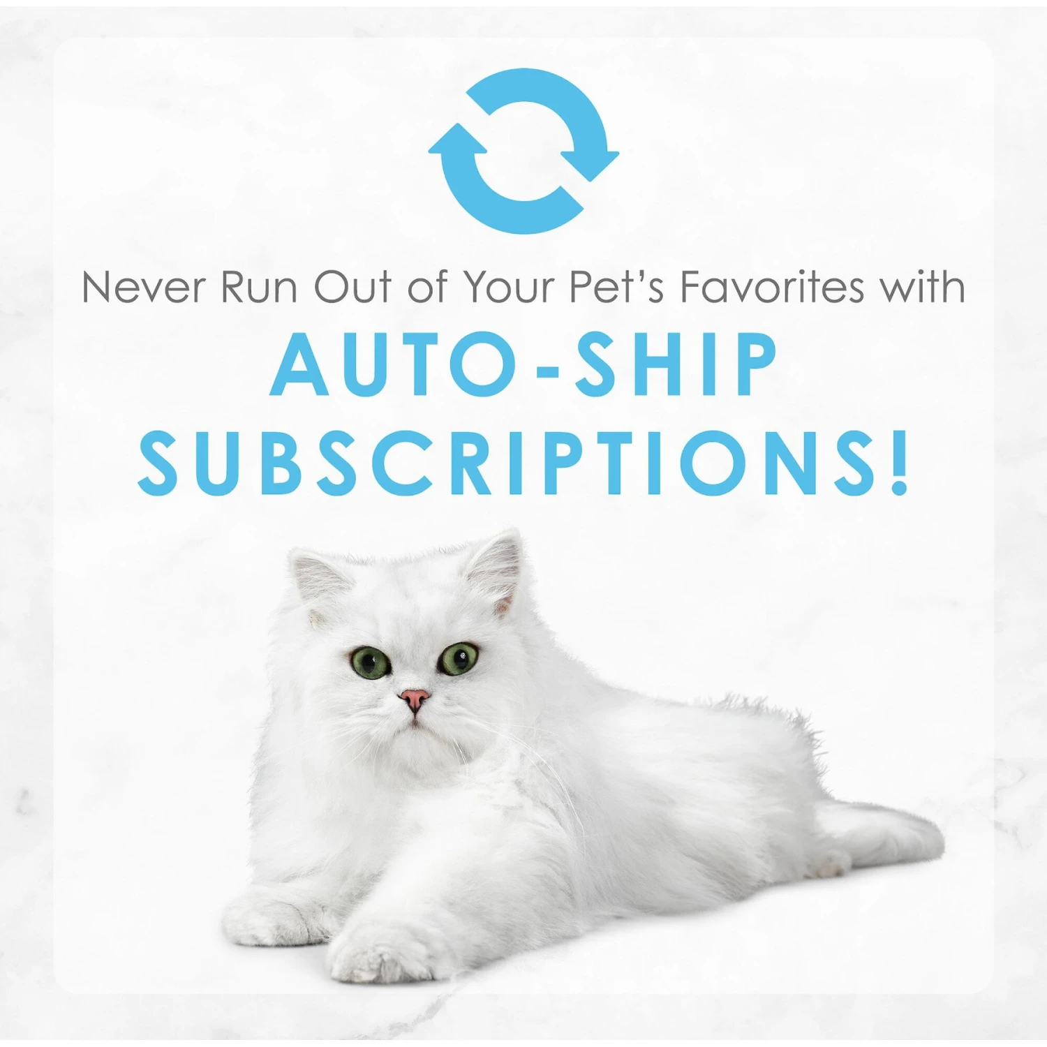 Fancy Feast Creamy Delights Chicken Feast Canned Cat Food 11 Fancy Feast Creamy Delights Chicken Feast Canned Cat Food - Image 9