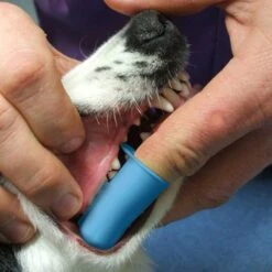 Pet Republique Dog & Cat Finger Toothbrush -Furry Friends 128489 PT5. AC SS1800 V1617315458
