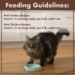 Nutro Perfect Portions Grain-Free Real Turkey & Real Chicken Pate Recipe Variety Pack Adult Wet Cat Food Trays -Furry Friends 128567 PT7. AC SS1800 V1702678672